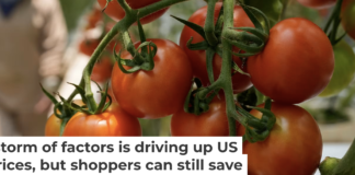 While U.S. produce prices are rising across the board, tomatoes are among the most affected. AP Photo/Marco Ugarte